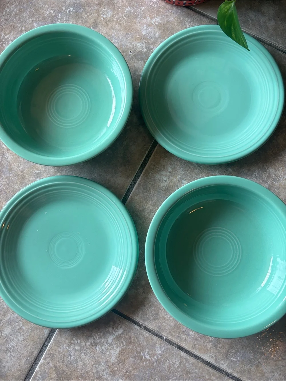 Fiesta seamist green